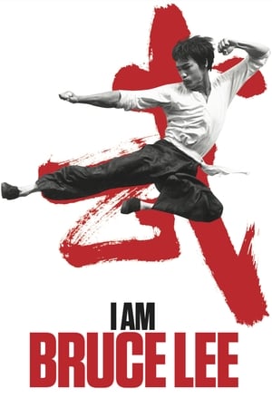 I Am Bruce Lee 2012 Hindi Dual Audio [850MB] Download